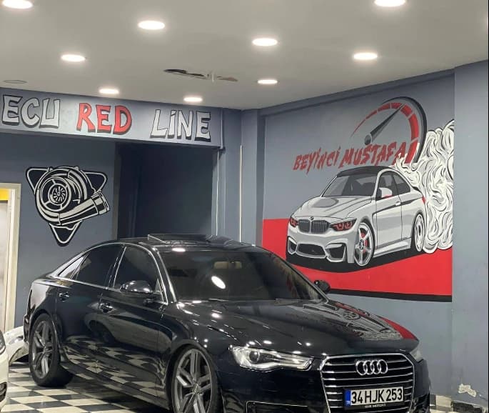 Oto Beyin Tamiri İstanbul - Ecu Redline Chip Tuning